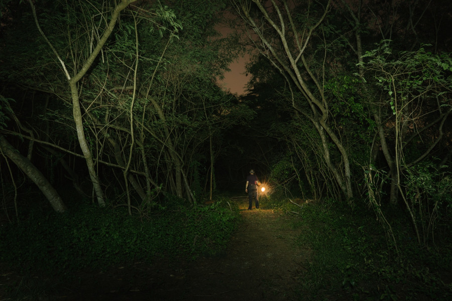 Northeast Hinterland 14
