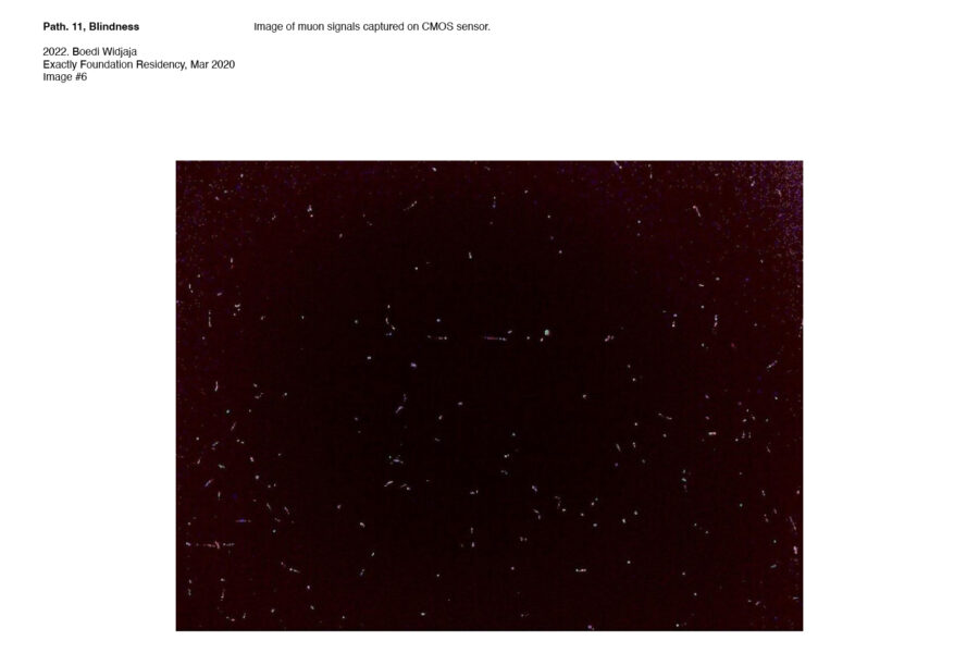 boedi-images6